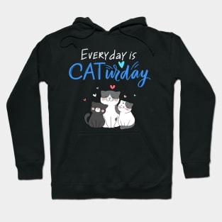 Everyday Is Caturday Quote For Cat Lovers Hoodie